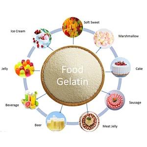 Hot Selling Food Grade Gelatin Powder CAS 9000-70-8 Halal Gelatin